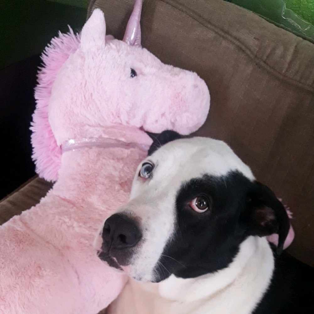 Meet your Posher, Lezli